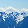 Hurricane Ridge